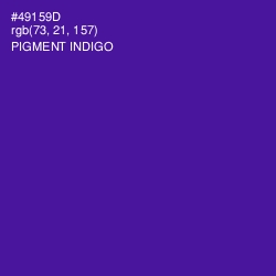 #49159D - Pigment Indigo Color Image