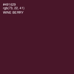 #491629 - Wine Berry Color Image