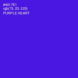 #4917E1 - Purple Heart Color Image