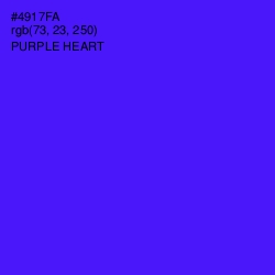 #4917FA - Purple Heart Color Image