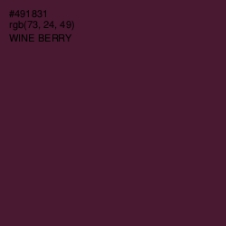 #491831 - Wine Berry Color Image