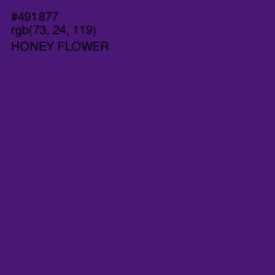 #491877 - Honey Flower Color Image