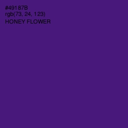 #49187B - Honey Flower Color Image