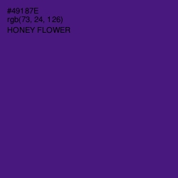 #49187E - Honey Flower Color Image