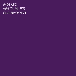 #491A5C - Clairvoyant Color Image