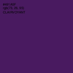 #491A5F - Clairvoyant Color Image