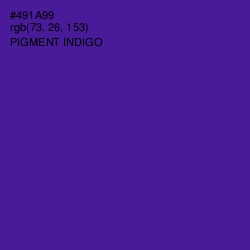 #491A99 - Pigment Indigo Color Image