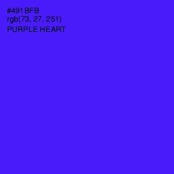 #491BFB - Purple Heart Color Image