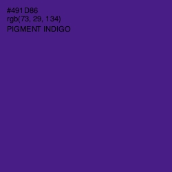 #491D86 - Pigment Indigo Color Image