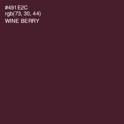 #491E2C - Wine Berry Color Image