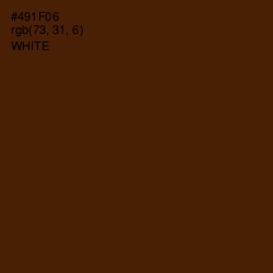 #491F06 - Indian Tan Color Image