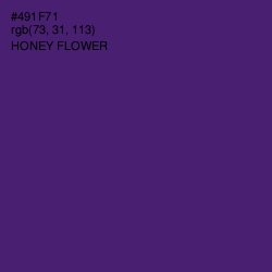 #491F71 - Honey Flower Color Image