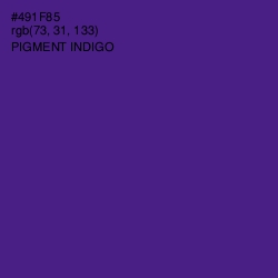 #491F85 - Pigment Indigo Color Image