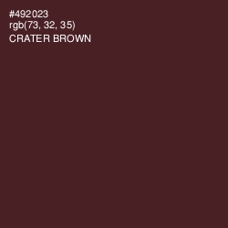 #492023 - Crater Brown Color Image