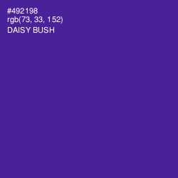 #492198 - Daisy Bush Color Image
