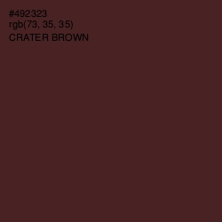 #492323 - Crater Brown Color Image