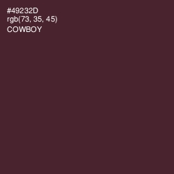 #49232D - Cowboy Color Image