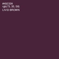 #49233A - Livid Brown Color Image