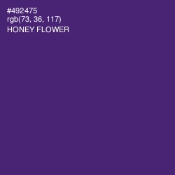 #492475 - Honey Flower Color Image