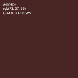 #492524 - Crater Brown Color Image