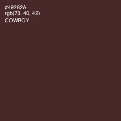 #49282A - Cowboy Color Image