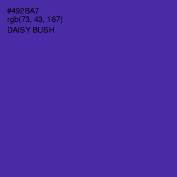 #492BA7 - Daisy Bush Color Image