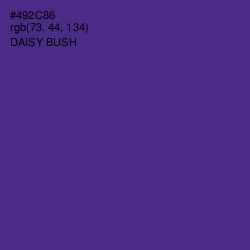 #492C86 - Daisy Bush Color Image
