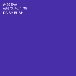 #492EAA - Daisy Bush Color Image