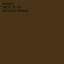 #493417 - Metallic Bronze Color Image