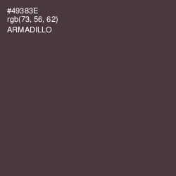 #49383E - Armadillo Color Image