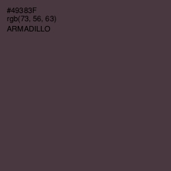 #49383F - Armadillo Color Image