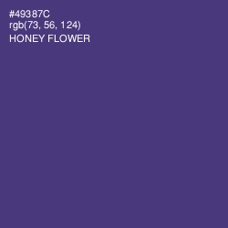 #49387C - Honey Flower Color Image