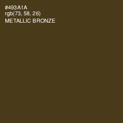 #493A1A - Metallic Bronze Color Image