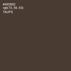 #493B32 - Taupe Color Image