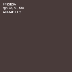 #493B3A - Armadillo Color Image