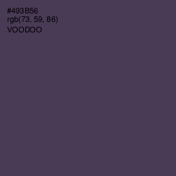 #493B56 - Voodoo Color Image