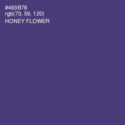 #493B78 - Honey Flower Color Image