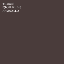 #493C3B - Armadillo Color Image