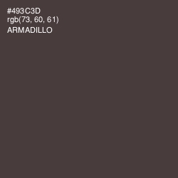#493C3D - Armadillo Color Image