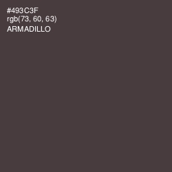 #493C3F - Armadillo Color Image