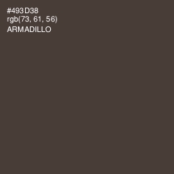 #493D38 - Armadillo Color Image