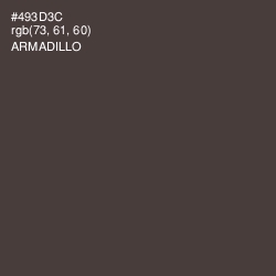 #493D3C - Armadillo Color Image