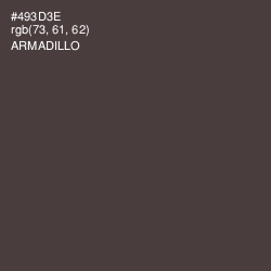 #493D3E - Armadillo Color Image