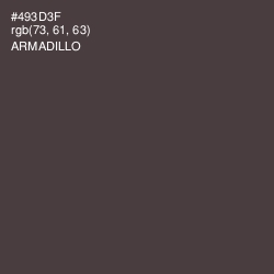 #493D3F - Armadillo Color Image