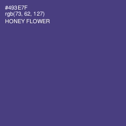 #493E7F - Honey Flower Color Image