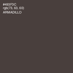 #493F3C - Armadillo Color Image