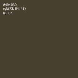 #494030 - Kelp Color Image