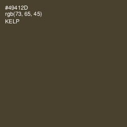 #49412D - Kelp Color Image