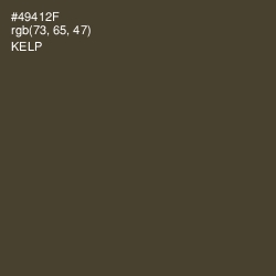 #49412F - Kelp Color Image