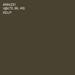 #494231 - Kelp Color Image